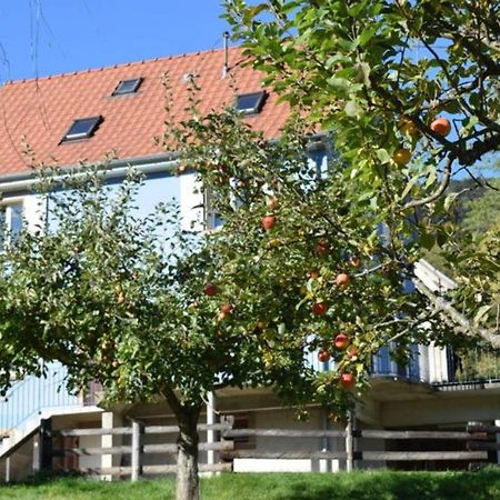 Les Locations De Stephanie ,Gite Le Verger Sondernach Kültér fotó