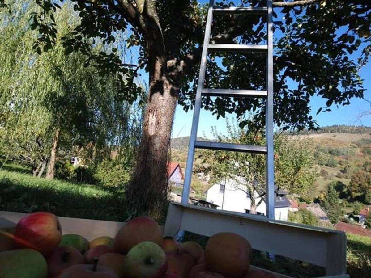 Les Locations De Stephanie ,Gite Le Verger Sondernach Kültér fotó