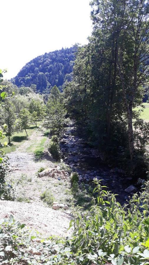 Les Locations De Stephanie ,Gite Le Verger Sondernach Kültér fotó