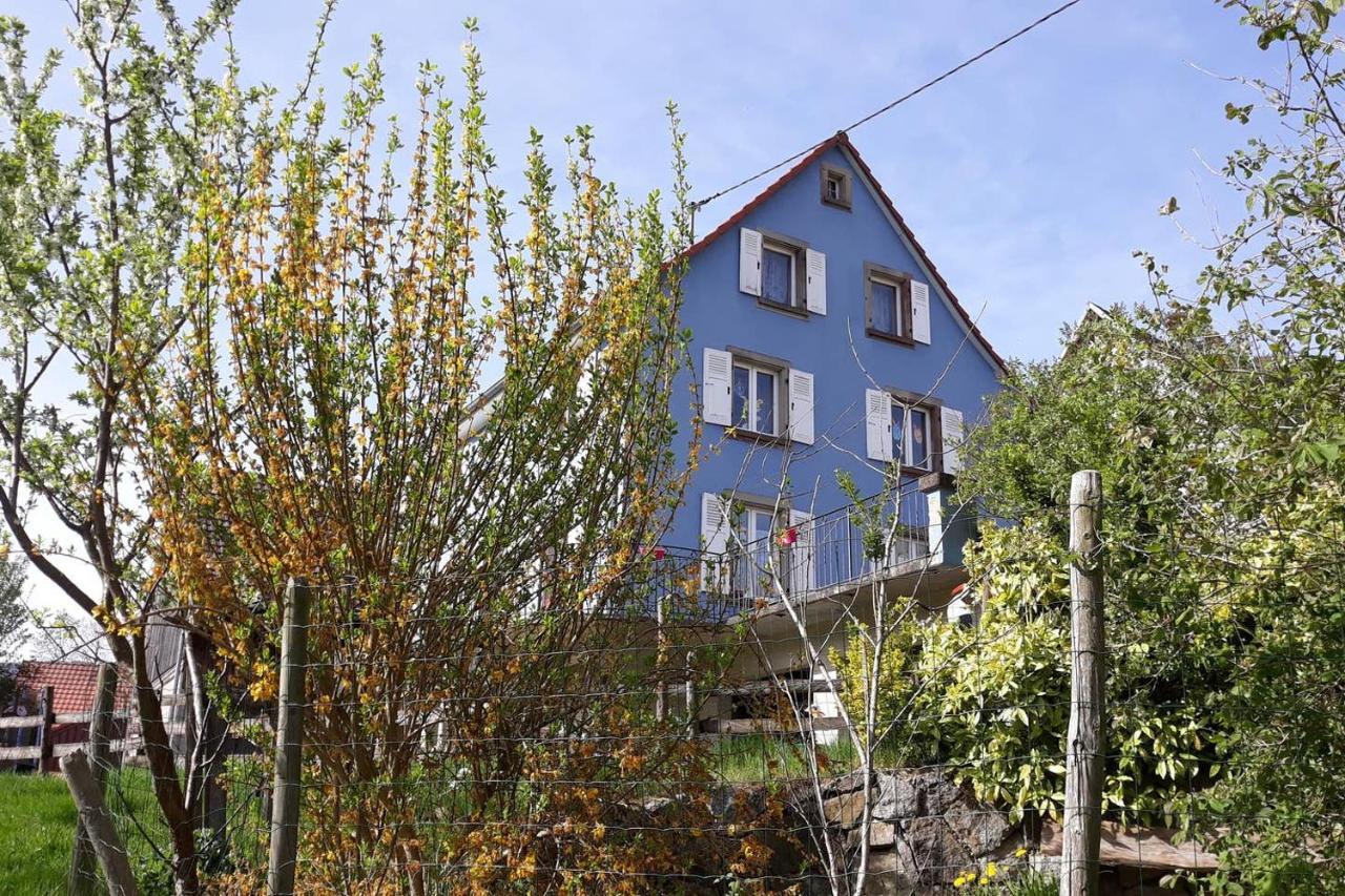 Les Locations De Stephanie ,Gite Le Verger Sondernach Kültér fotó