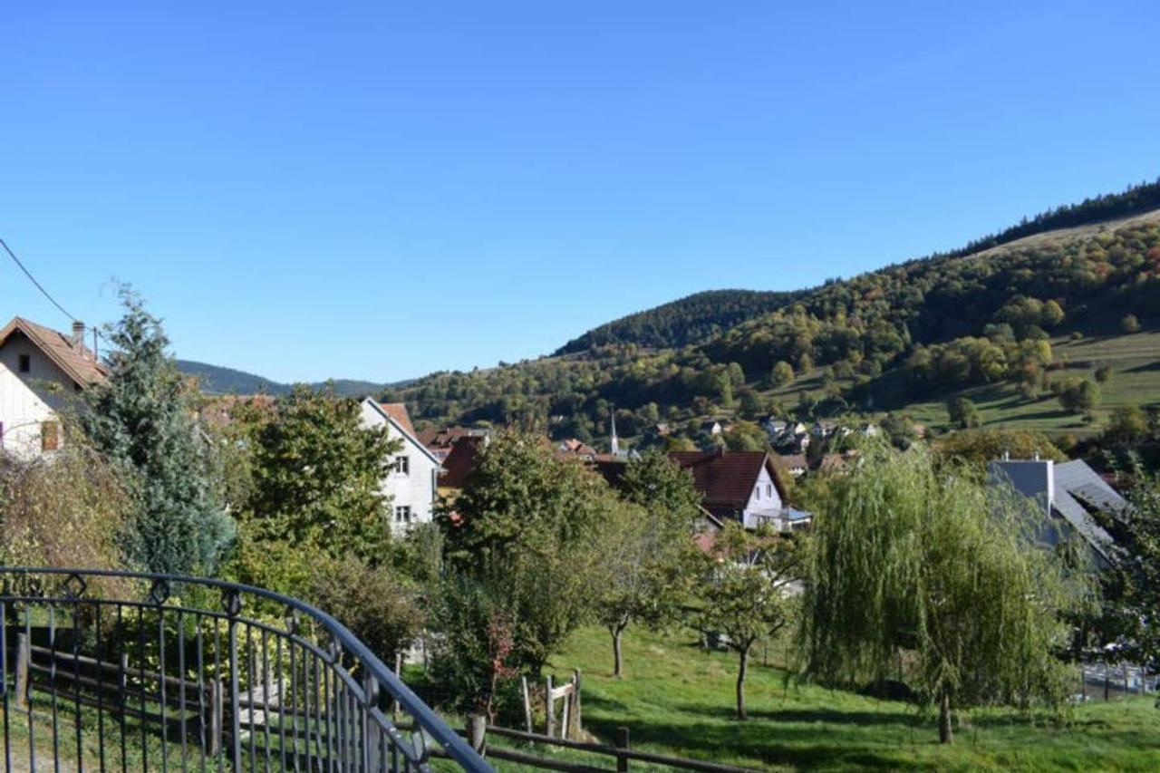 Les Locations De Stephanie ,Gite Le Verger Sondernach Kültér fotó
