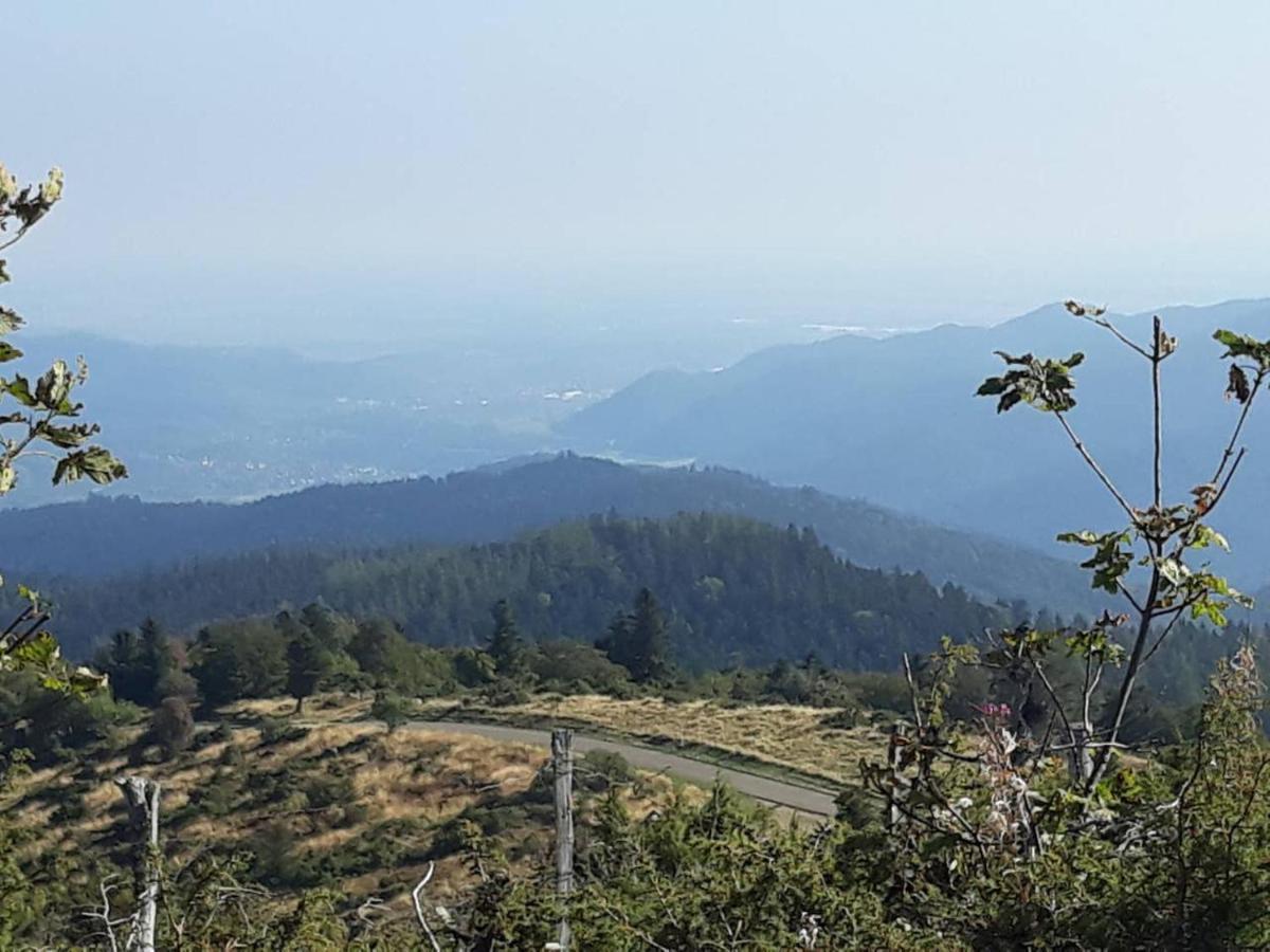 Les Locations De Stephanie ,Gite Le Verger Sondernach Kültér fotó