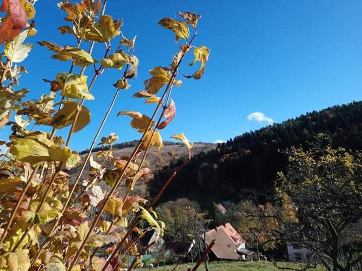 Les Locations De Stephanie ,Gite Le Verger Sondernach Kültér fotó
