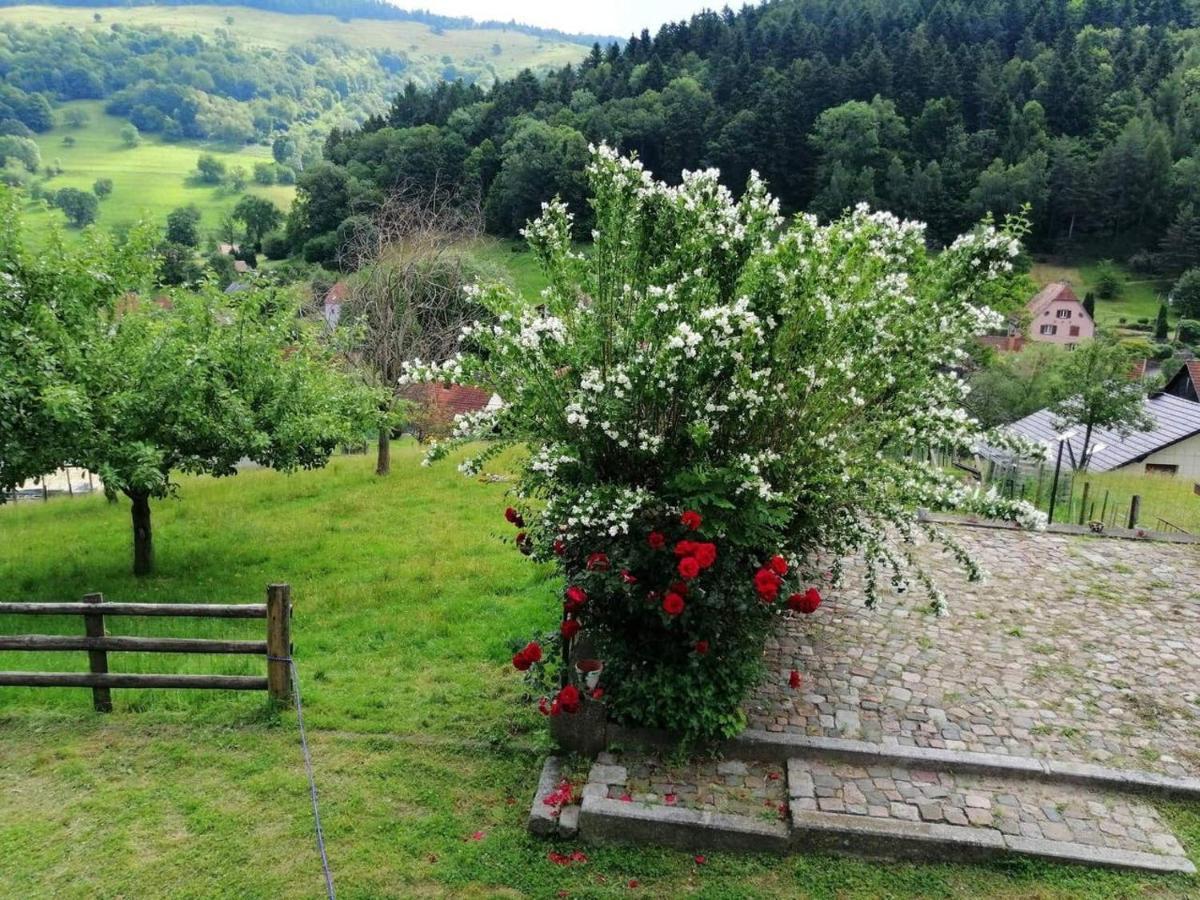 Les Locations De Stephanie ,Gite Le Verger Sondernach Kültér fotó