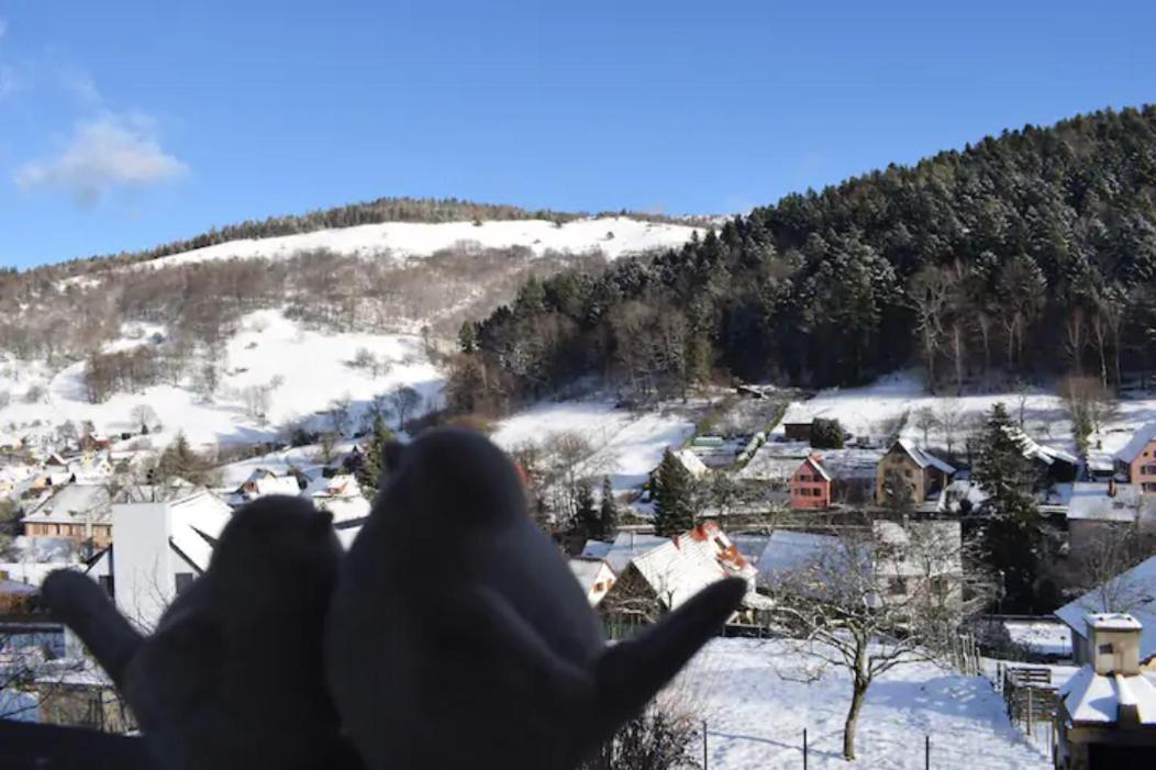 Les Locations De Stephanie ,Gite Le Verger Sondernach Kültér fotó