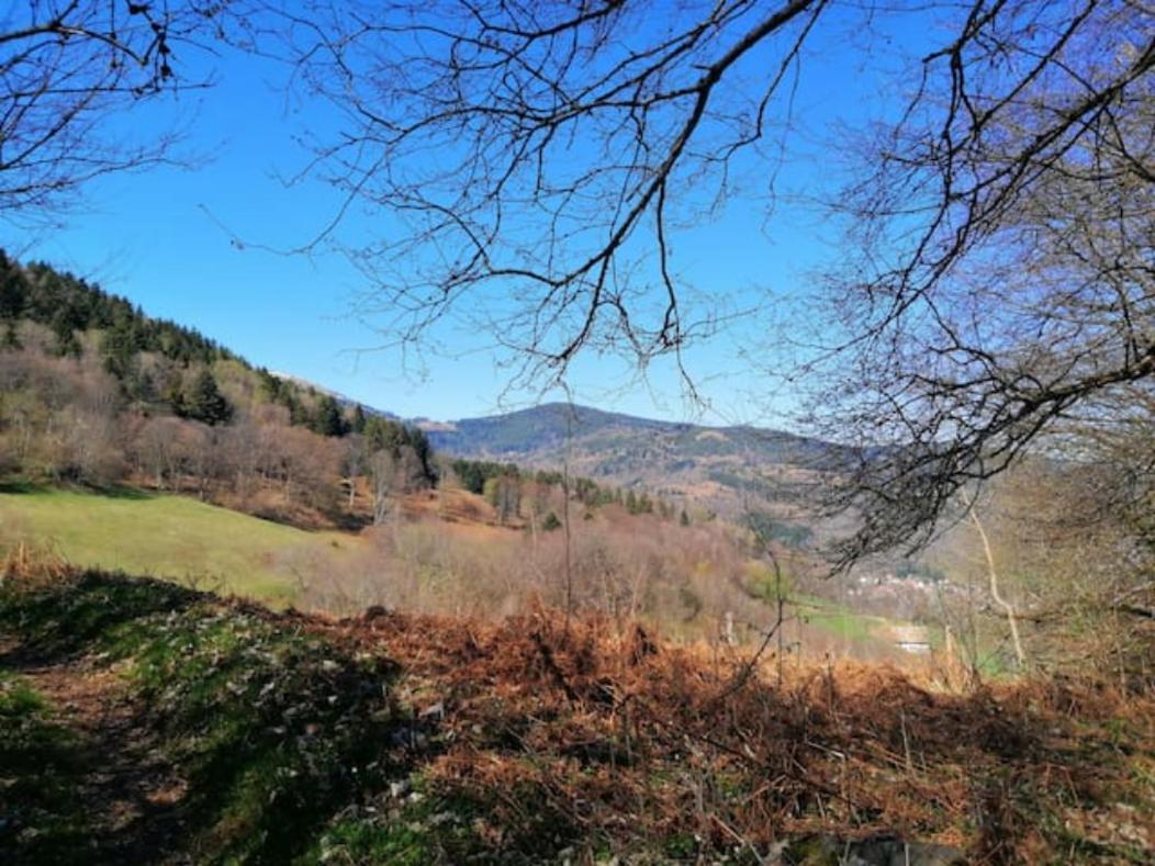 Les Locations De Stephanie ,Gite Le Verger Sondernach Kültér fotó