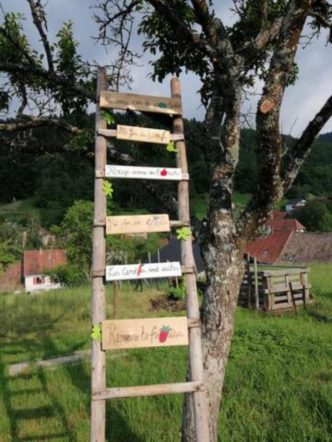 Les Locations De Stephanie ,Gite Le Verger Sondernach Kültér fotó