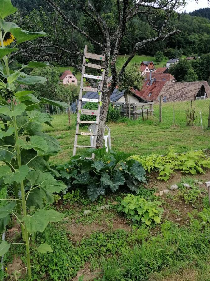 Les Locations De Stephanie ,Gite Le Verger Sondernach Kültér fotó
