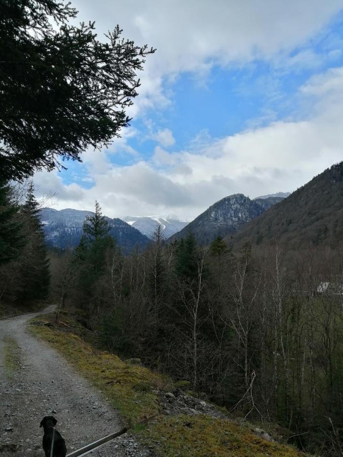 Les Locations De Stephanie ,Gite Le Verger Sondernach Kültér fotó